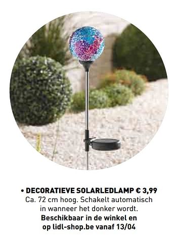 Promoties Decoratieve solarledlamp - Huismerk - Lidl - Geldig van 18/03/2019 tot 04/05/2019 bij Lidl