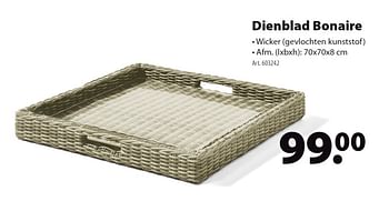 Promoties Dienblad bonaire - Huismerk - Gamma - Geldig van 03/04/2019 tot 30/06/2019 bij Gamma