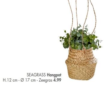 Promoties Seagrass hangpot - Huismerk - Casa - Geldig van 25/03/2019 tot 28/04/2019 bij Casa