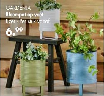 Promoties Gardenia bloempot op voet - Huismerk - Casa - Geldig van 25/03/2019 tot 28/04/2019 bij Casa
