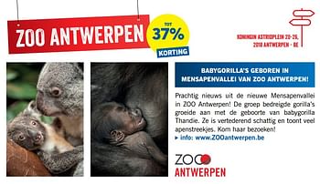 Promoties Zoo antwerpen tot 37% korting - Huismerk - Lidl - Geldig van 25/03/2019 tot 09/06/2019 bij Lidl