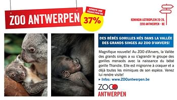 Promoties Zoo antwerpen jusqu`à une réduction de 37% - Huismerk - Lidl - Geldig van 25/03/2019 tot 09/06/2019 bij Lidl
