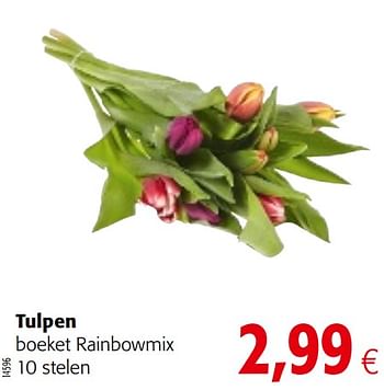 Promoties Tulpen boeket rainbowmix 10 stelen - Huismerk - Colruyt - Geldig van 10/04/2019 tot 23/04/2019 bij Colruyt