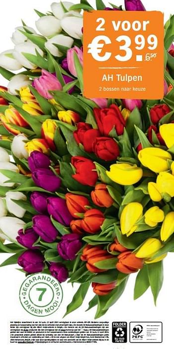 Promoties Ah tulpen 2 bossen naar keuze - Huismerk - Albert Heijn - Geldig van 15/04/2019 tot 22/04/2019 bij Albert Heijn
