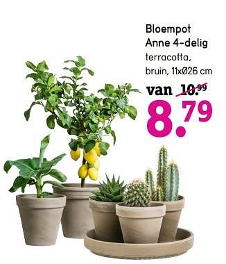 Promoties Bloempot anne 4-delig - Huismerk - Leen Bakker - Geldig van 15/04/2019 tot 28/04/2019 bij Leen Bakker