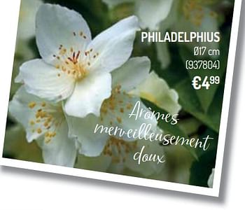 Promoties Philadelphius - Huismerk - Oh'Green - Geldig van 10/04/2019 tot 21/04/2019 bij Oh'Green