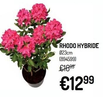 Promoties Rhodo hybride - Huismerk - Oh'Green - Geldig van 10/04/2019 tot 21/04/2019 bij Oh'Green