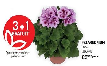 Promotions Pelargonium - Produit Maison - Oh'Green - Valide de 10/04/2019 à 21/04/2019 chez Oh'Green