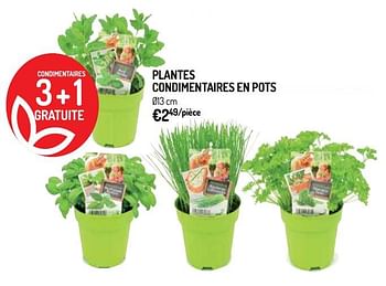 Promotions Plantes condimentaires en pots - Produit Maison - Oh'Green - Valide de 10/04/2019 à 21/04/2019 chez Oh'Green