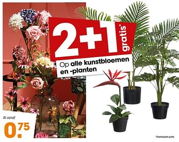 Promoties Kunstbloemen en -planten - Huismerk - Kwantum - Geldig van 06/05/2019 tot 19/05/2019 bij Kwantum