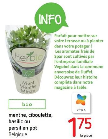 Promotions Menthe, ciboulette, basilic ou persil en pot - Produit Maison - Spar Retail - Valide de 09/05/2019 à 22/05/2019 chez Spar (Colruytgroup)