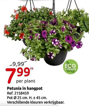 Promotions Petunia in hangpot - Central Park - Valide de 15/05/2019 à 27/05/2019 chez Brico