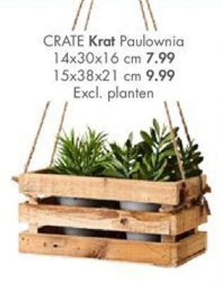 Promotions Crate krat paulownia planten - Produit maison - Casa - Valide de 29/04/2019 à 26/05/2019 chez Casa