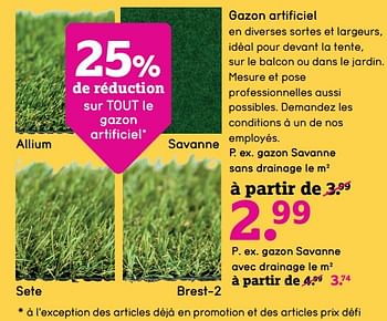 Promotions Gazon savanne sans drainage le m² - Produit maison - Leen Bakker - Valide de 13/05/2019 à 26/05/2019 chez Leen Bakker