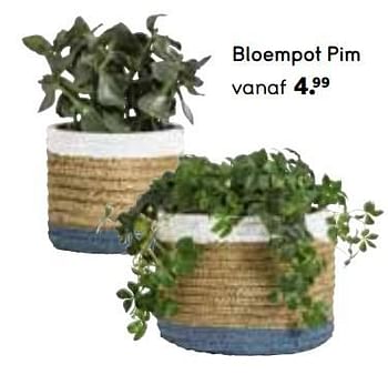 Promoties Bloempot pim - Huismerk - Leen Bakker - Geldig van 01/05/2019 tot 31/10/2019 bij Leen Bakker