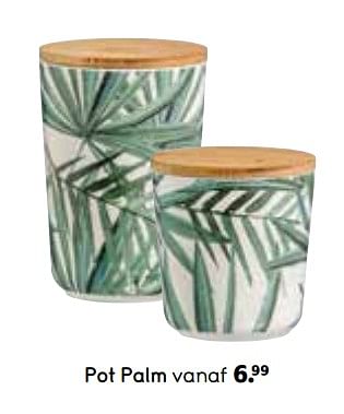 Promoties Pot palm - Huismerk - Leen Bakker - Geldig van 01/05/2019 tot 31/10/2019 bij Leen Bakker