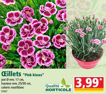 Promoties Oeillets pink kisses - Huismerk - Norma - Geldig van 12/06/2019 tot 18/06/2019 bij Norma