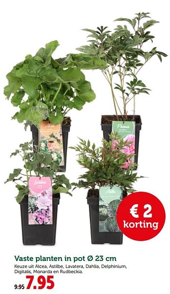 Promoties Vaste planten in pot - Huismerk - Aveve - Geldig van 19/06/2019 tot 29/06/2019 bij Aveve