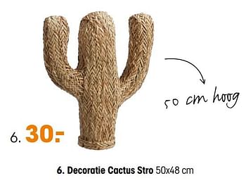 Knooppunt Mijlpaal Evaluatie Huismerk - Kwantum Decoratie cactus stro - Promotie bij Kwantum
