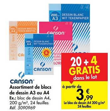 Promotions Assortiment de blocs de dessin a3 ou a4 - Canson - Valide de 31/07/2019 à 07/09/2019 chez Carrefour