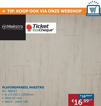 Promotions Plafondpaneel maestro - Maestro - Valide de 20/08/2019 à 23/09/2019 chez Zelfbouwmarkt