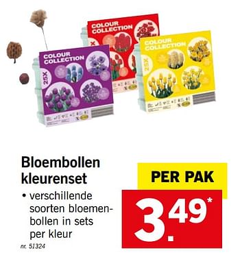 Promotions Bloembollen kleurenset - Produit maison - Lidl - Valide de 26/08/2019 à 31/08/2019 chez Lidl
