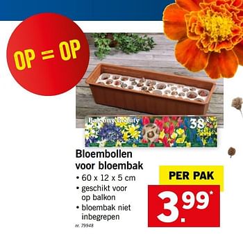 Promoties Bloembollen voor bloembak - Huismerk - Lidl - Geldig van 26/08/2019 tot 31/08/2019 bij Lidl