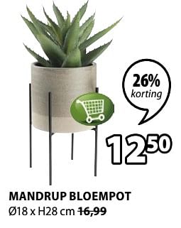 Promoties Mandrup bloempot - Huismerk - Jysk - Geldig van 09/09/2019 tot 22/09/2019 bij Jysk