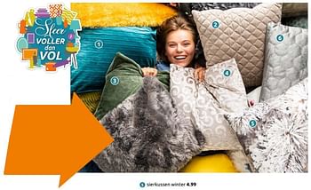 Promoties Sierkussen winter - Huismerk - Action - Geldig van 11/09/2019 tot 17/09/2019 bij Action