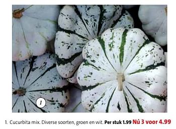 Promoties Cucurbita mix. diverse soorten, groen en wit - Huismerk - Intratuin - Geldig van 09/09/2019 tot 22/09/2019 bij Intratuin