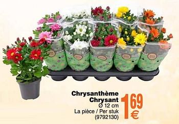 Promoties Chrysanthème - chrysant - Huismerk - Cora - Geldig van 10/09/2019 tot 23/09/2019 bij Cora