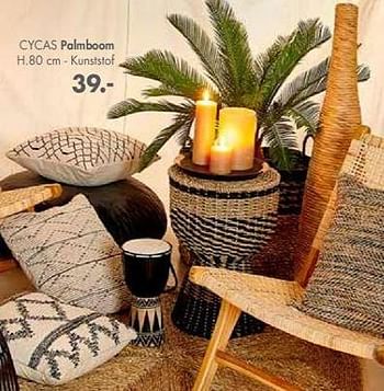 Promoties Cycas palm boom - Huismerk - Casa - Geldig van 06/08/2019 tot 29/09/2019 bij Casa