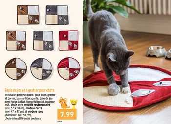 Promotion Aldi Tapis De Jeu Et A Gratter Pour Chats Produit Maison Aldi Animaux Et Accessoires Valide Jusqua 4 Promobutler