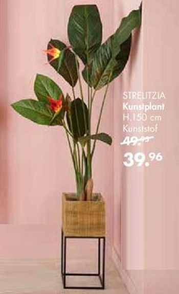 Promoties Strelitzia kunstplant - Huismerk - Casa - Geldig van 30/09/2019 tot 27/10/2019 bij Casa