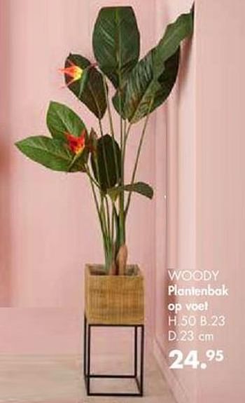 Promoties Woody plantenbak op voet - Huismerk - Casa - Geldig van 30/09/2019 tot 27/10/2019 bij Casa