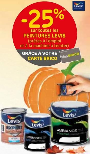 Promoties -25% sur toutes les peintures levis - Levis - Geldig van 09/10/2019 tot 21/10/2019 bij Brico