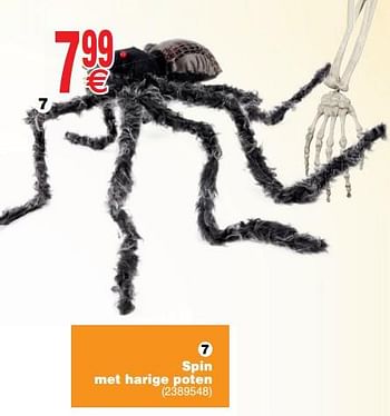 Promoties Spin met harige poten - Huismerk - Cora - Geldig van 08/10/2019 tot 21/10/2019 bij Cora