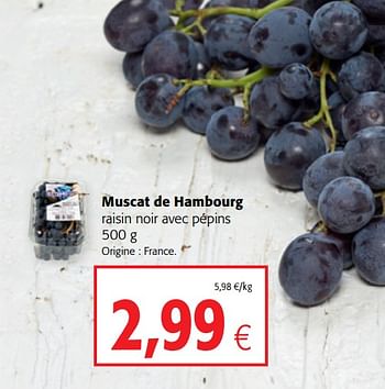 Promotions Muscat de hambourg raisin noir avec pépins - Produit maison - Colruyt - Valide de 09/10/2019 à 22/10/2019 chez Colruyt
