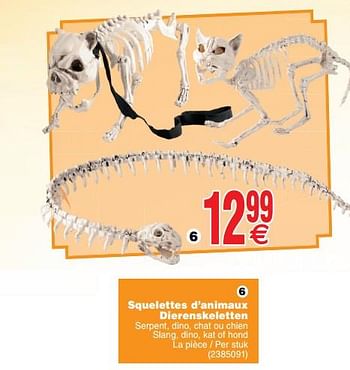 Promotions Squelettes d`animaux dierenskeletten - Produit maison - Cora - Valide de 08/10/2019 à 21/10/2019 chez Cora