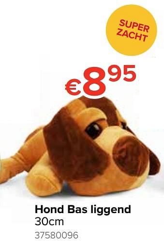 Promoties Hond bas liggend - Huismerk - Euroshop - Geldig van 21/10/2019 tot 06/12/2019 bij Euro Shop