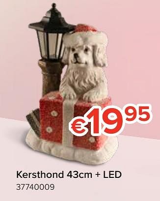 Promoties Kersthond + led - Huismerk - Euroshop - Geldig van 22/11/2019 tot 31/12/2019 bij Euro Shop