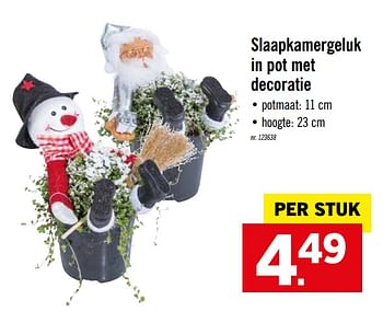 Promoties Slaapkamergeluk in pot met decoratie - Huismerk - Lidl - Geldig van 25/11/2019 tot 30/11/2019 bij Lidl