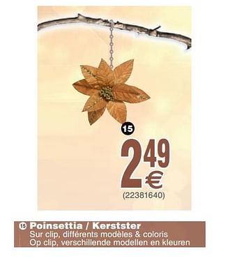 Promotions Poinsettia - kerstster - Produit maison - Cora - Valide de 19/11/2019 à 02/12/2019 chez Cora