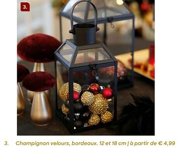Promotions Champignon velours, bordeaux. 12 et 18 cm - Produit Maison - Ava - Valide de 20/11/2019 à 31/01/2020 chez Ava