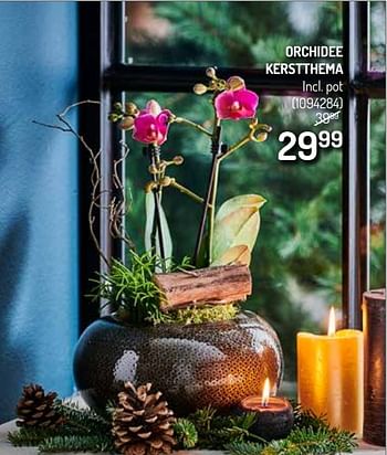 Promoties Orchidee kerstthema - Huismerk - Oh'Green - Geldig van 27/11/2019 tot 08/12/2019 bij Oh'Green