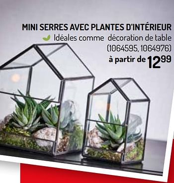 Promotions Mini serres avec plantes d`intérieur - Produit Maison - Oh'Green - Valide de 27/11/2019 à 08/12/2019 chez Oh'Green