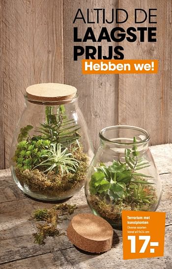 Promoties Terrarium met kunstplanten - Huismerk - Kwantum - Geldig van 10/02/2020 tot 16/02/2020 bij Kwantum
