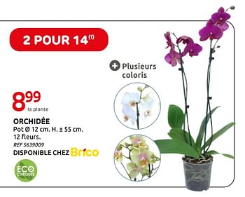 Promotions Orchidée - Produit maison - Brico - Valide de 05/02/2020 à 17/02/2020 chez Brico