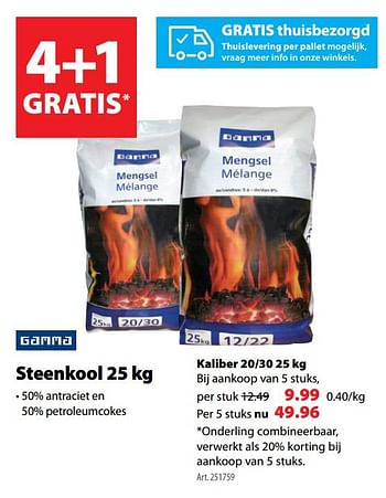 Promoties Steenkool - Gamma - Geldig van 19/02/2020 tot 25/02/2020 bij Gamma