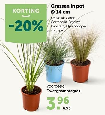 Promoties Grassen in pot - Huismerk - Aveve - Geldig van 10/03/2020 tot 21/03/2020 bij Aveve